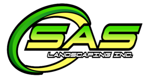 sas logo 512 2.webp